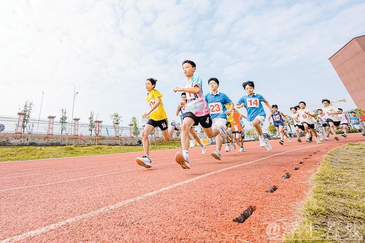 全员参与，将体育融入日常生活